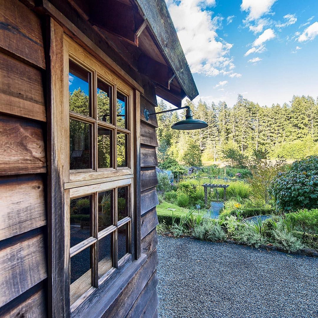 congé bail d'habitation